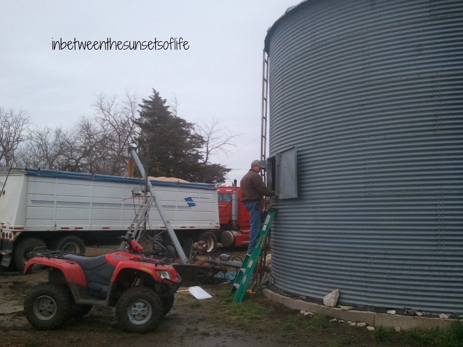 In Between the Sunsets of Life Emptying Bins & Teaching Generations