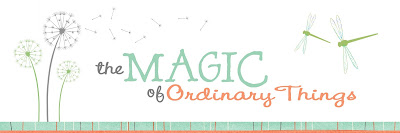 The Magic of Ordinary Things