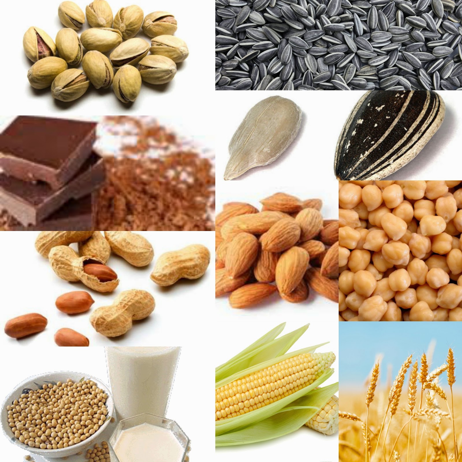que alimentos contienen magnesio alimentos ricos en magnesio frutas verduras beneficios que alimentos contienen magnesio alimentos ricos en magnesio frutas verduras beneficios