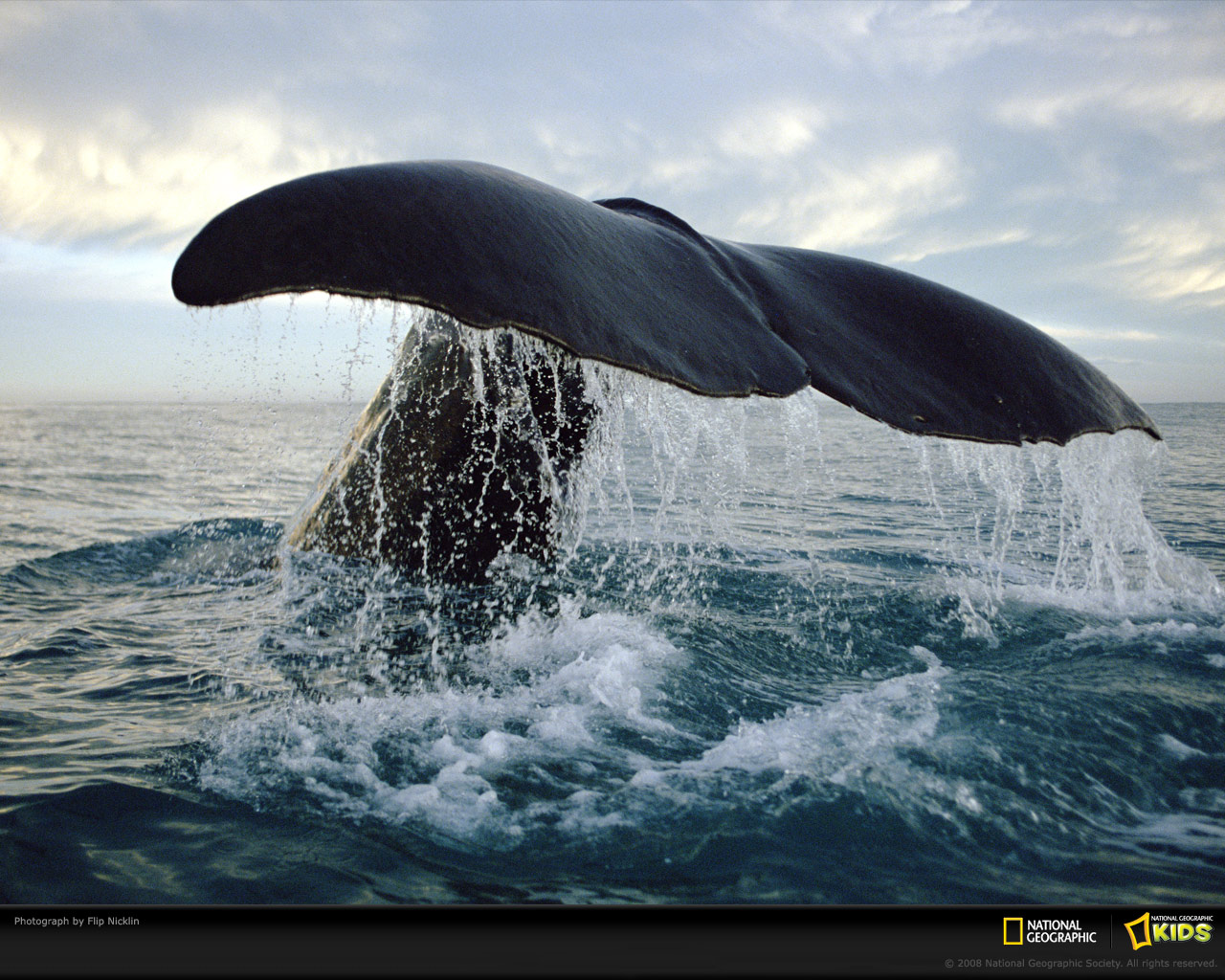 http://3.bp.blogspot.com/-xg77v_xXRng/TWffKtL3nxI/AAAAAAAAAM4/Zj2FeAwBGjc/s1600/14164_1280x1024-wallpaper-cb1272210162.jpg