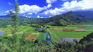 Windows 8 gépigény, windows 7: Windows 7 Wallpaper HD