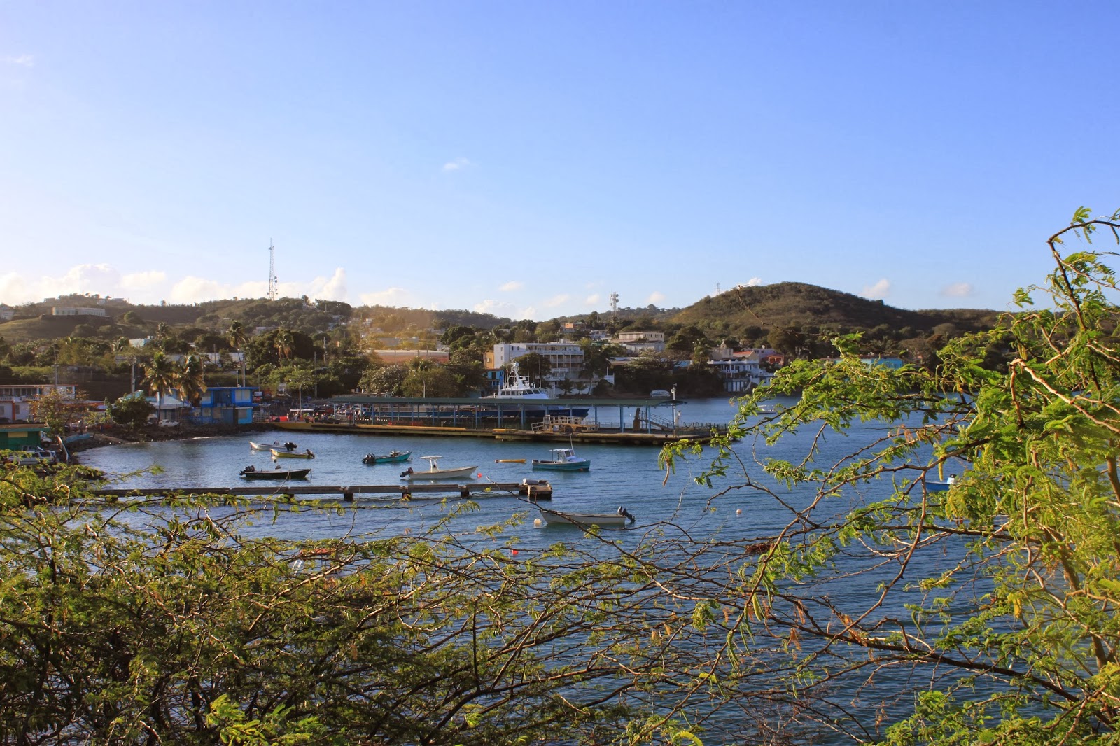 Melanzani Archive Alexandra Palla