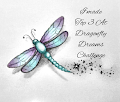 Top 3 at Dragonfly Dreams Challenge Blog