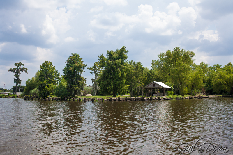 Louisiana Belle Lake Des Allemands