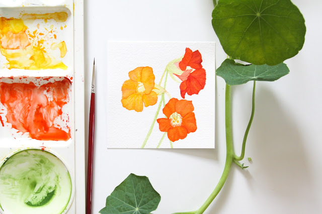 30 paintings in 30 days, watercolor, nasturtiums, Anne Butera, My Giant Strawberry