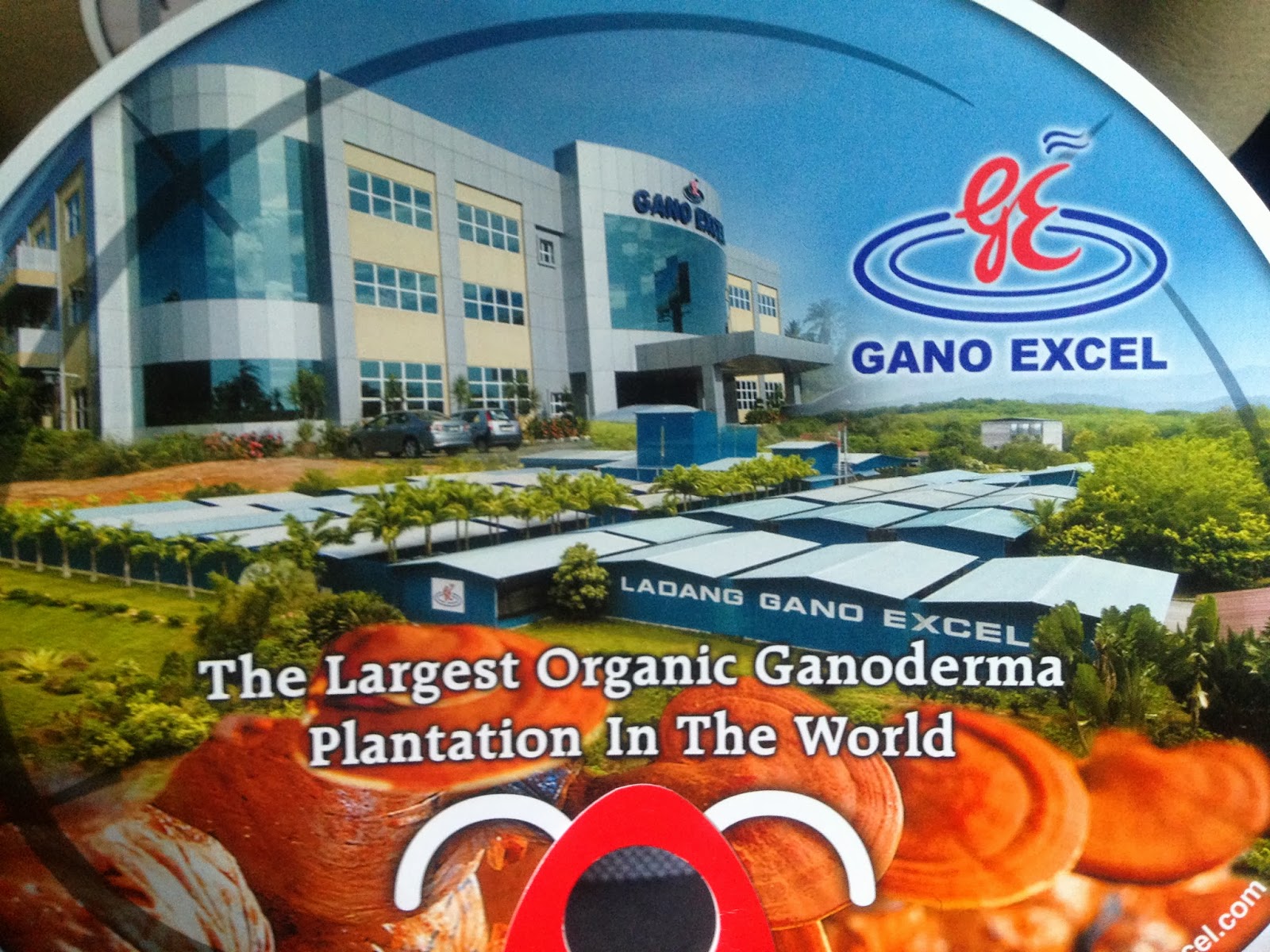 BURSA SAĞLIK TAKVİYESİ ÜRÜNLER / GANO EXCEL BURSA