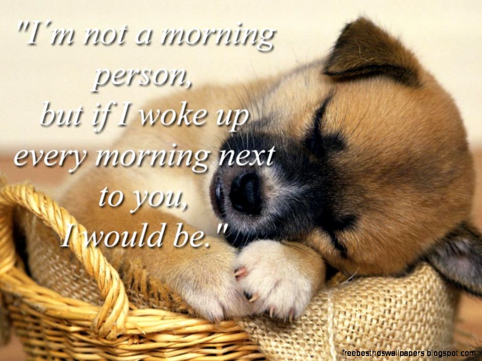 Cute Puppies Sleeping Cute Puppies Sleeping