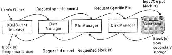 Dbmsenotes Role Of Database Management System Database Management System