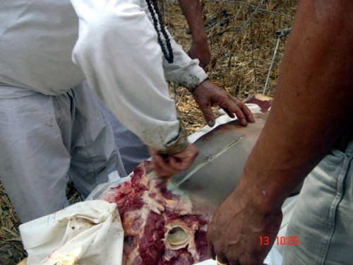 Mengerikan, Aliran Sesat Membunuh Dan Berpesta Memakan Daging Manusia 