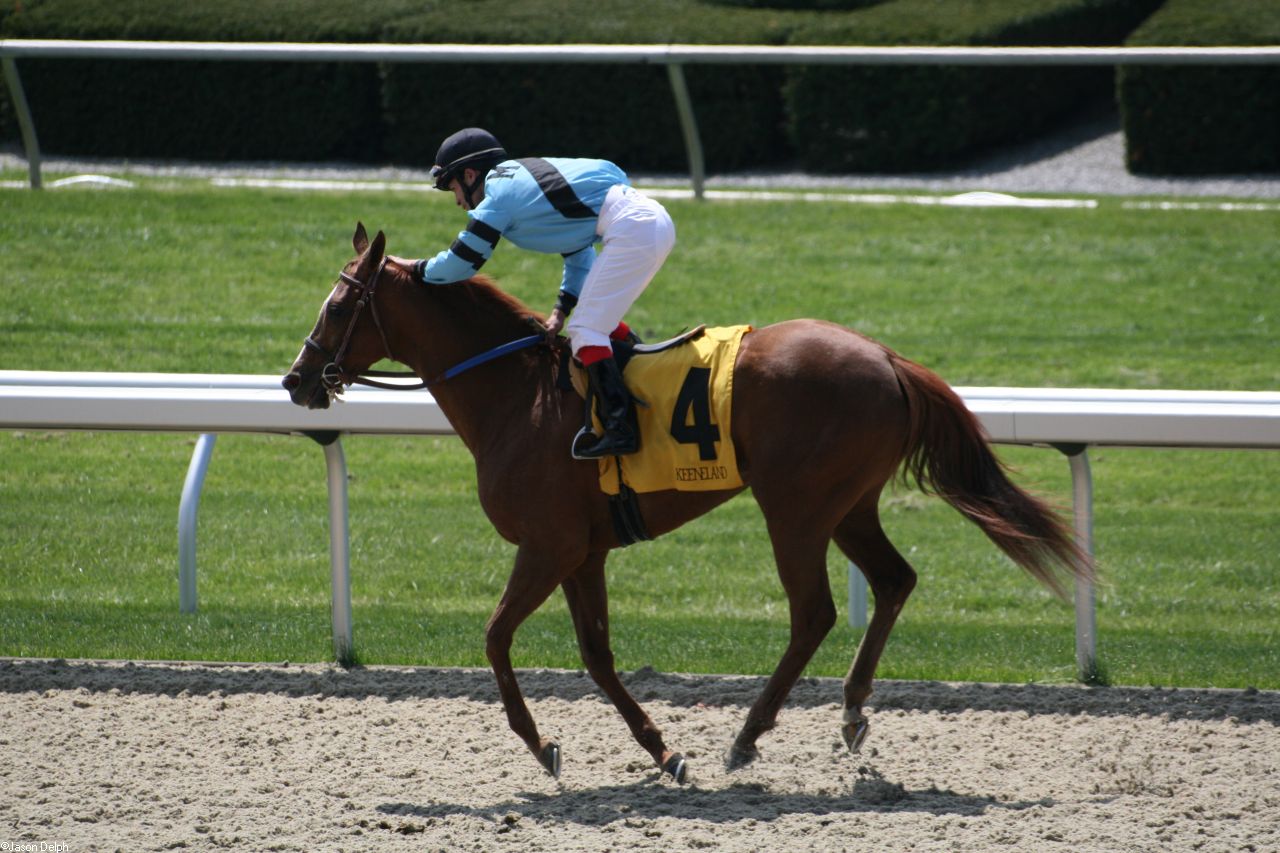 Horse Racing Pictures Images amp Photos Photobucket