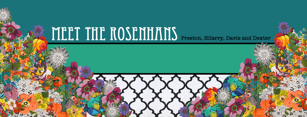Meet the Rosenhans