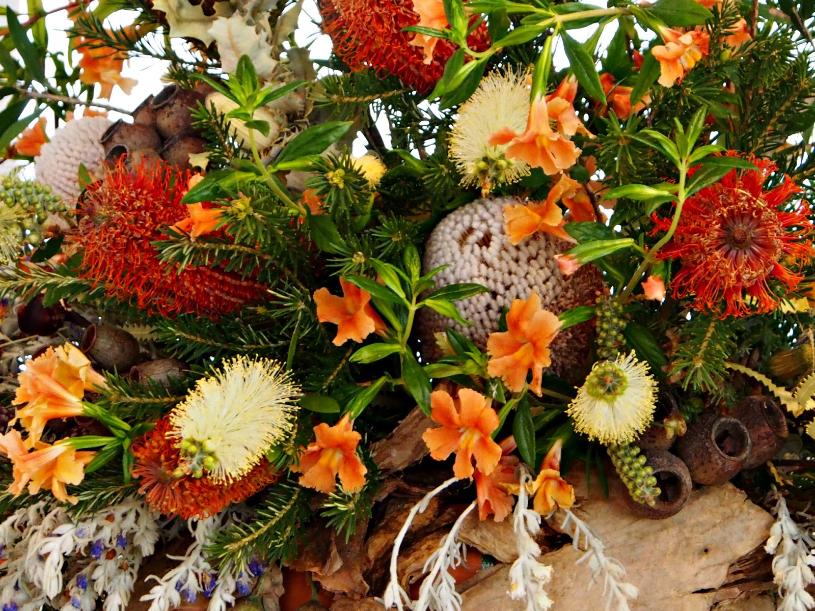 australian botanical art