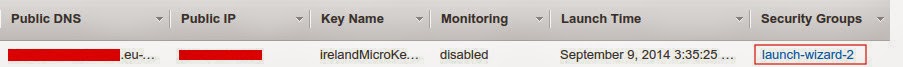 amazon7.jpeg