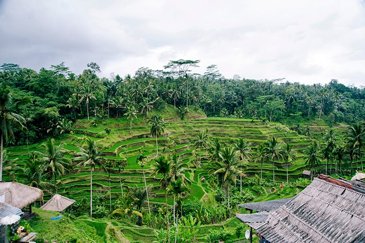 what to do in Bali Indonesia