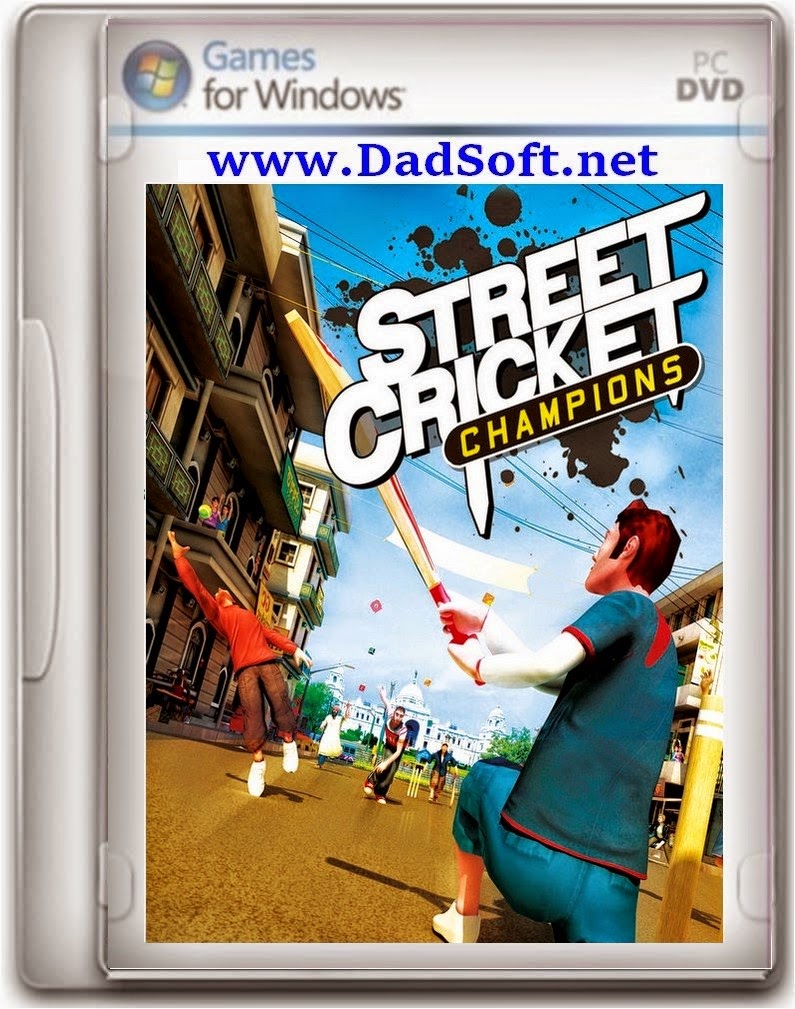 Street Cricket 2010