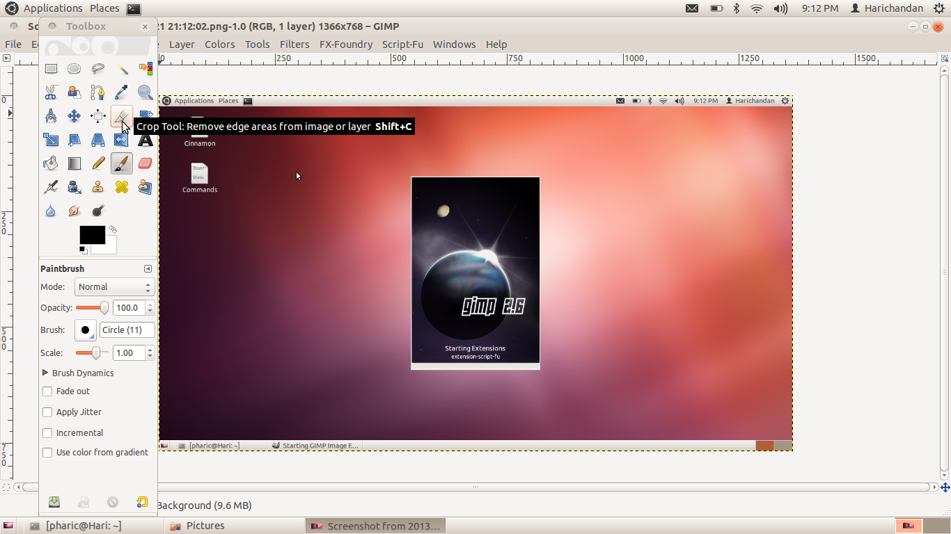 Technoric Cropping an image in Linux using GIMP