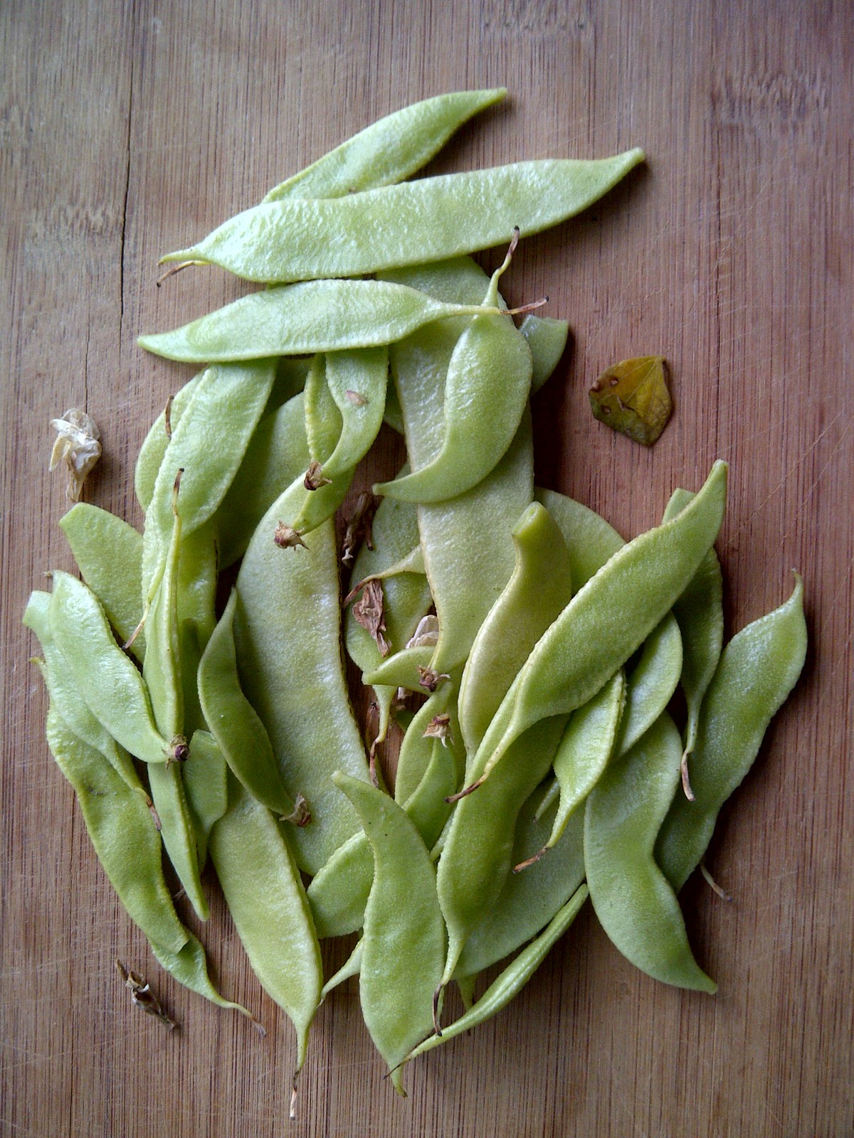 Suman's Cooking Flat bean flowers growing wild!