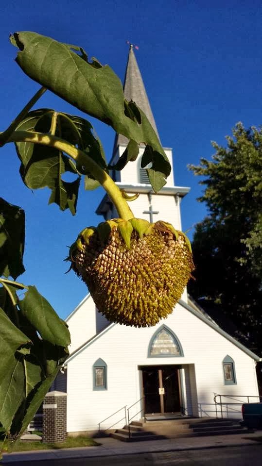 The Path to the Pulpit Nebraska's "Junk Jaunt" A great bit of fun!