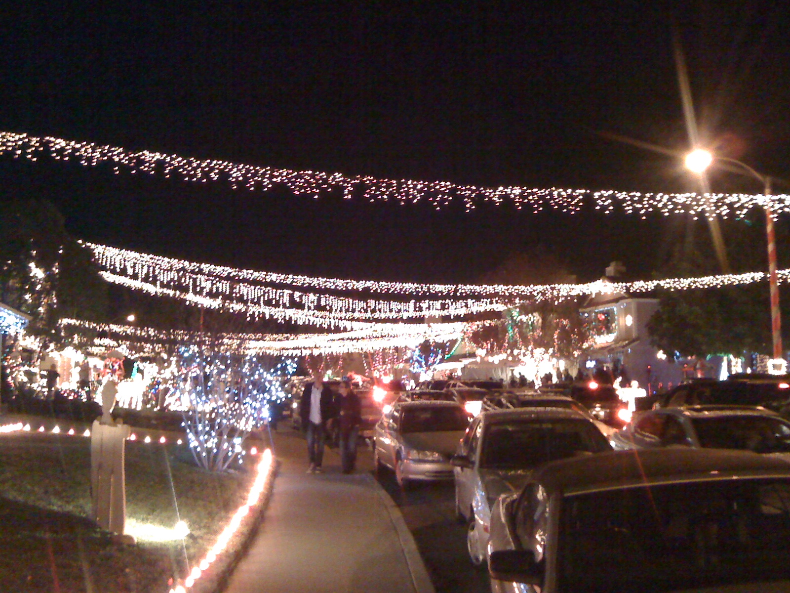 The Adventures of................ The Chase Family! Candy Cane Lane