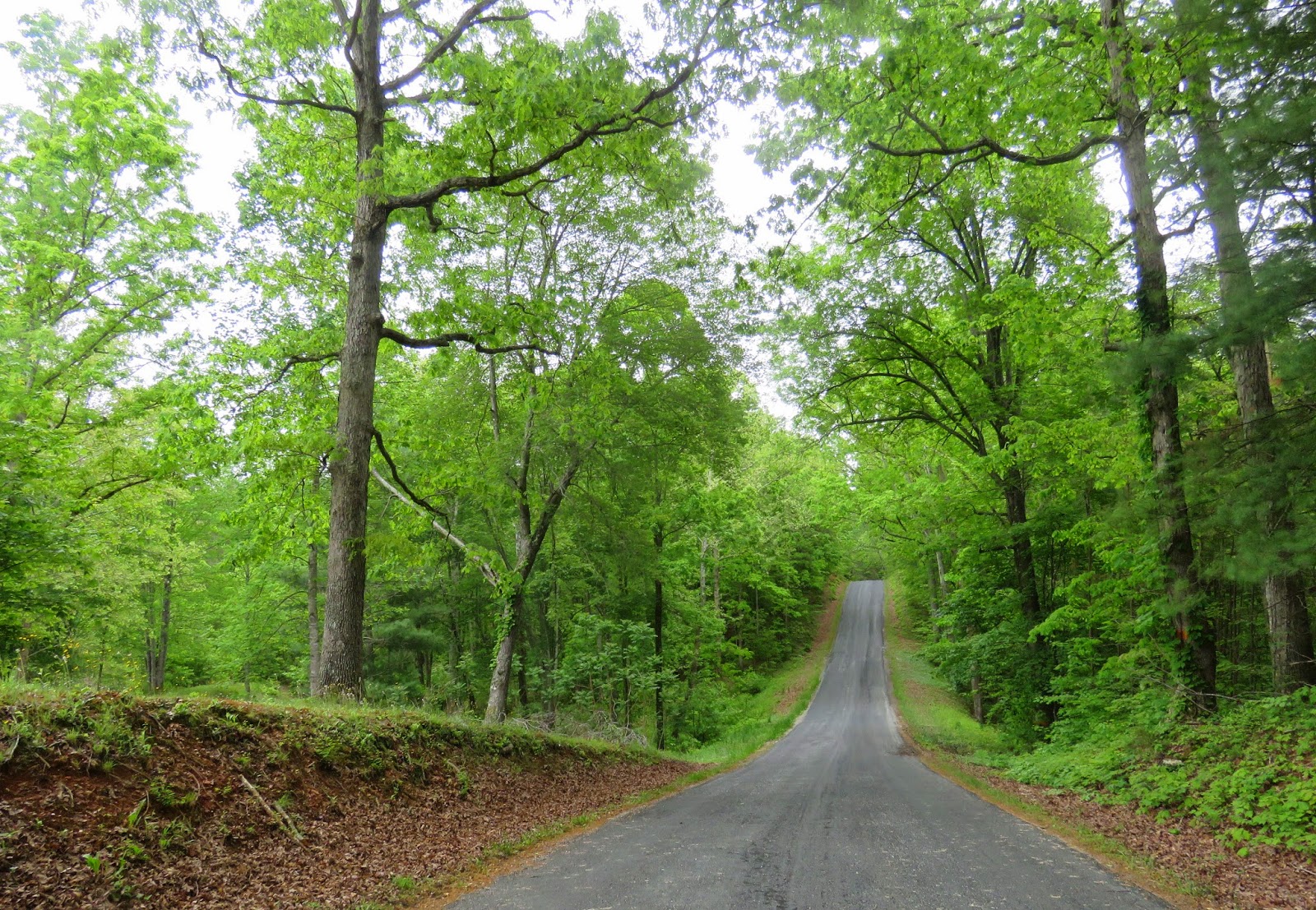 Where's Liz? 2015 The Real Walton's Mountain