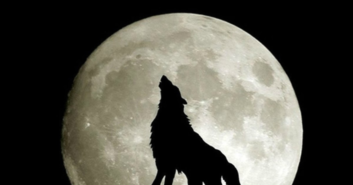 Art & Frame of Sarasota