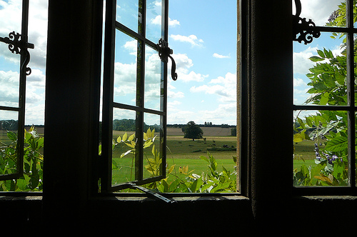 Window Opened