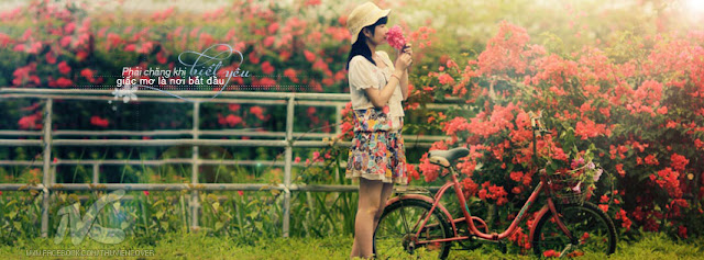 ảnh bìa facebook đẹp nhất hoa phượng