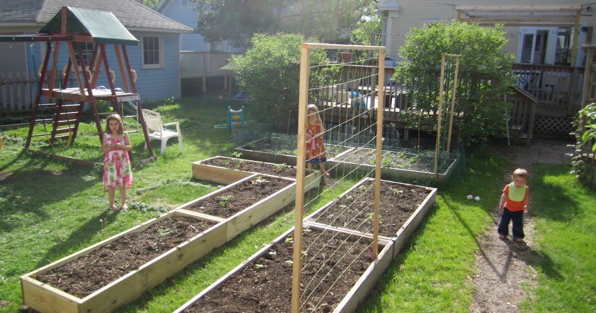 GraceWatch The new garden setup