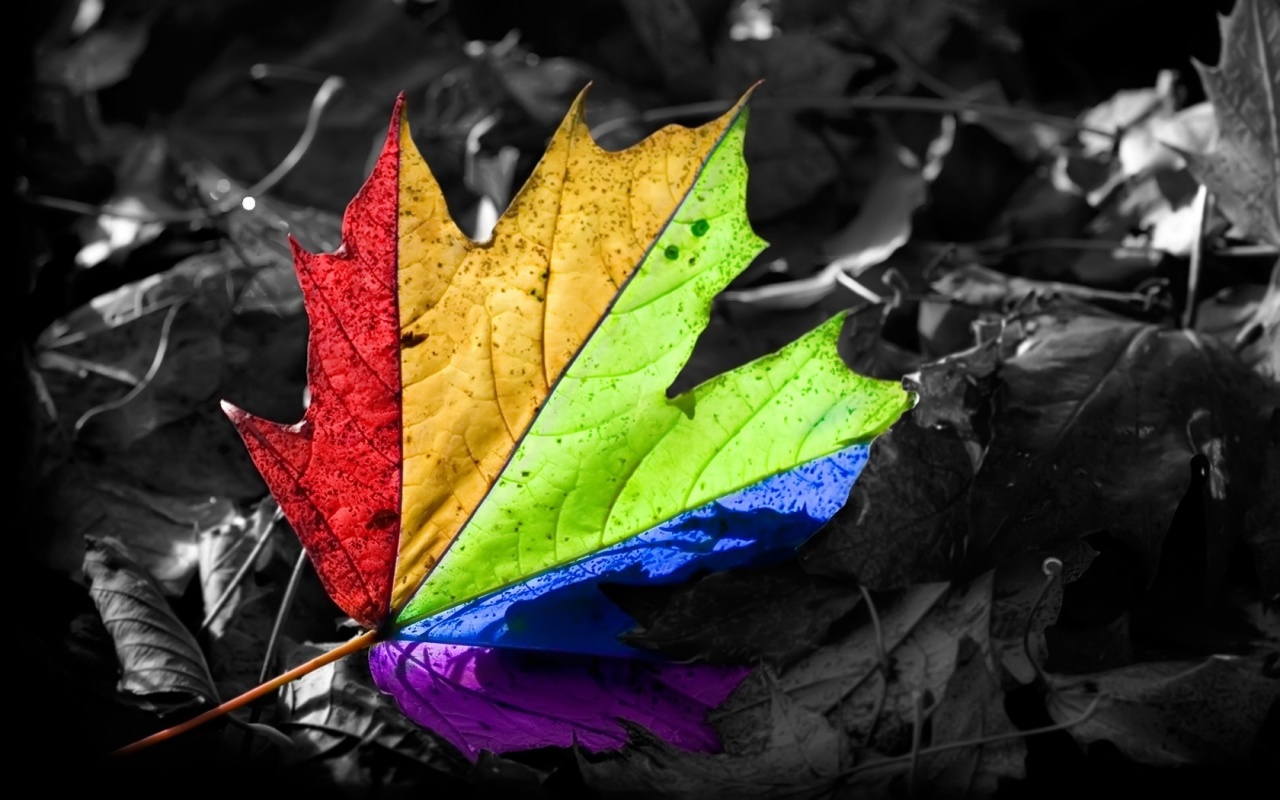 http://3.bp.blogspot.com/-xpAq2dAz7Jw/TntIAm-cyVI/AAAAAAAAAcY/ERjQRJXP7TI/s1600/colorsfull-nature-wallpaper.jpg