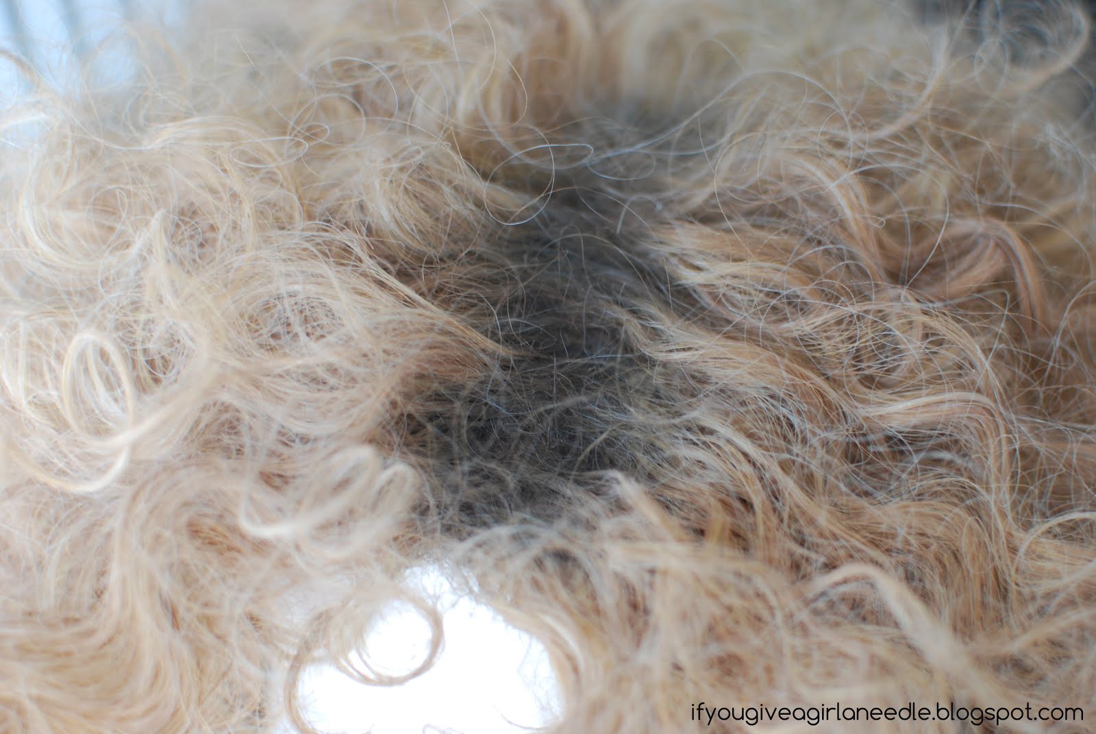 If You Give a Girl a Needle River Song Wig Tutorial