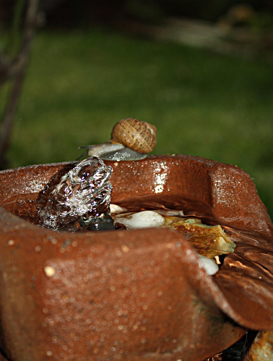 The Story Board When Snails Overindulge