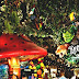 Rainforest Cafe - Rain Forest Cafe In Chicago