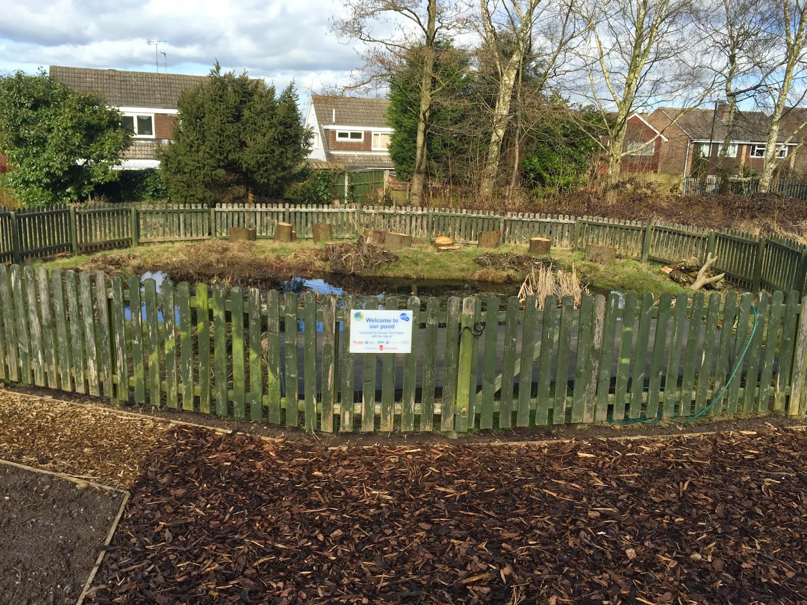 The Silverhill Blog School pond