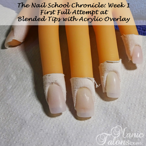 Manic Talons Nail Design The Nail School Chronicle Week 8