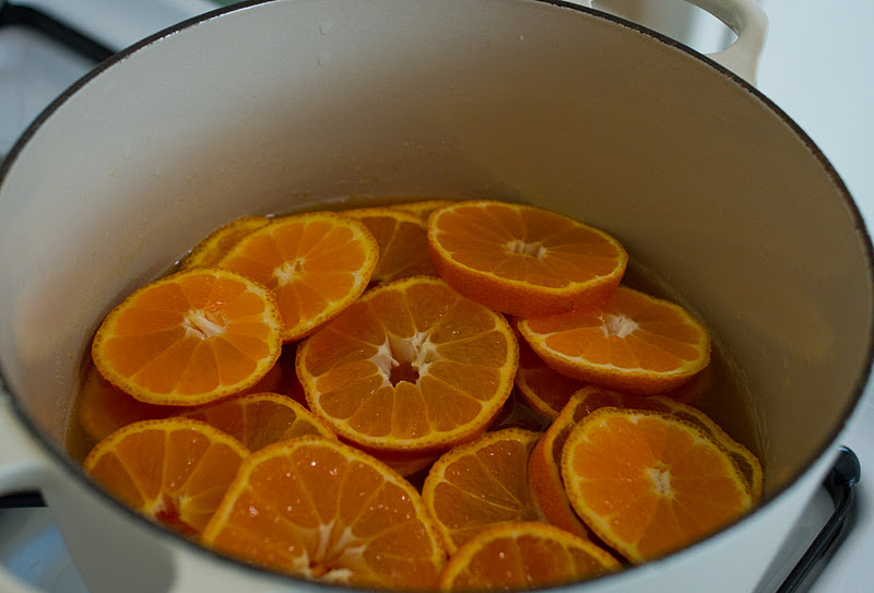 Bon Appétempt Juicy Satsuma Orange Cake