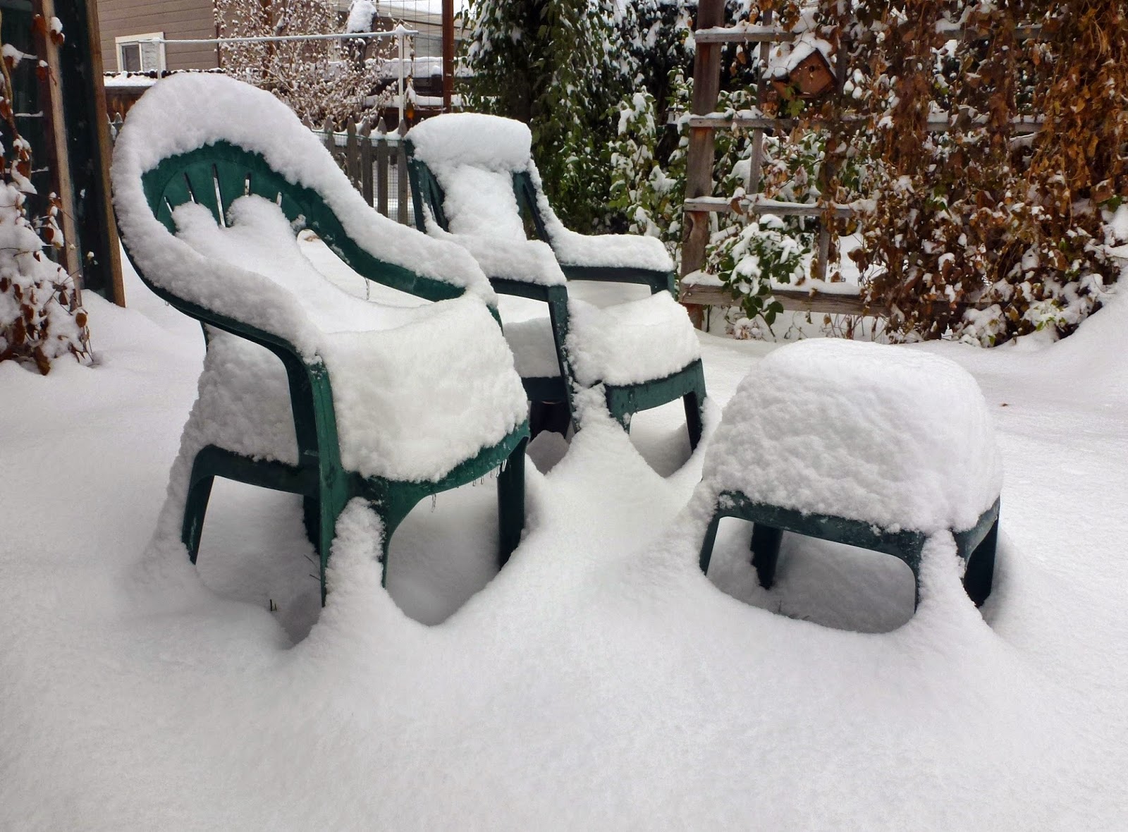 Our Life in Montana November This and That