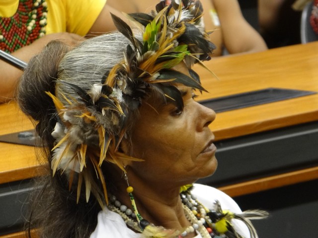 Pataxó e Tupinamba em Brasilia -2016