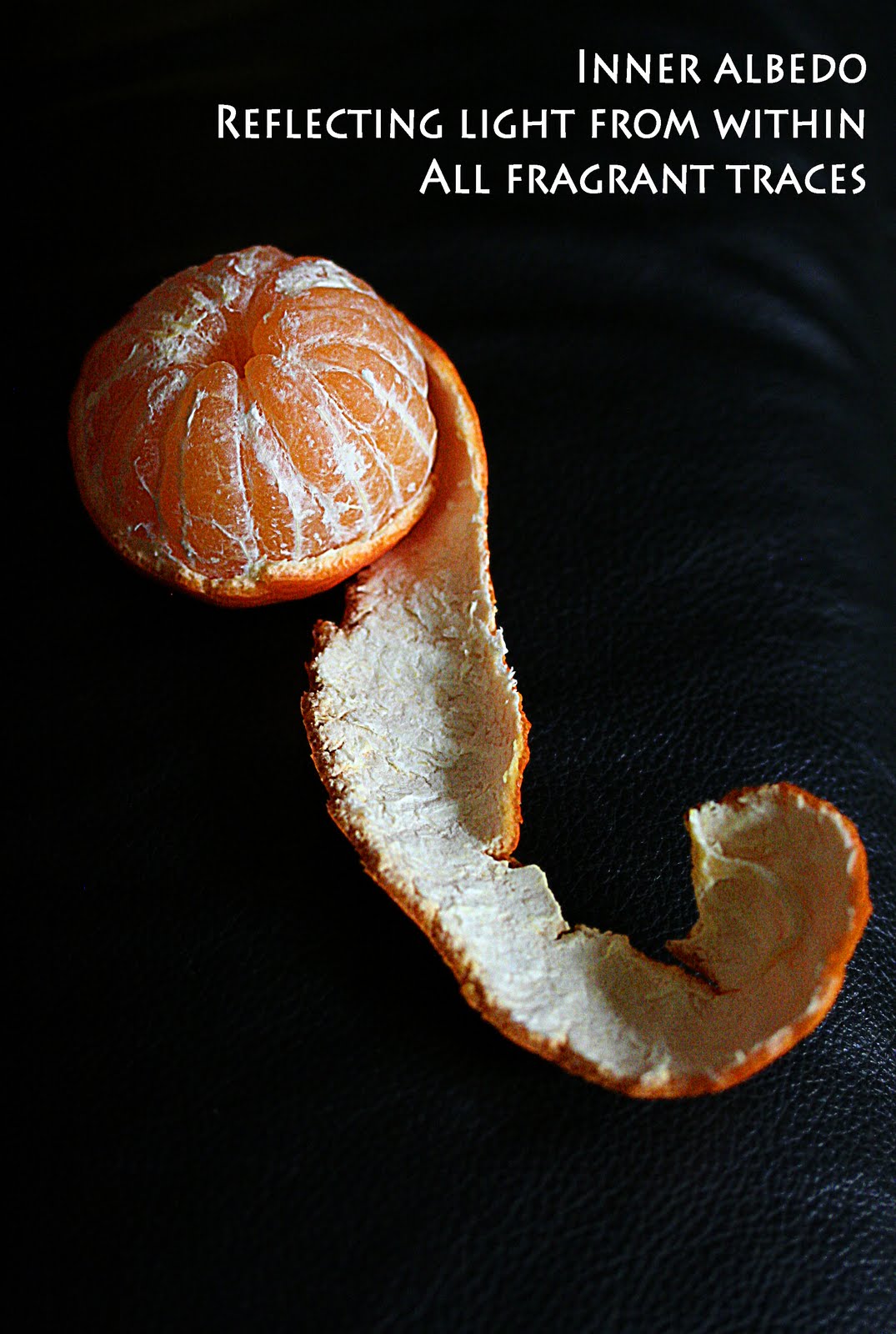 Word of the day! Fresh! Fresh! Fresh! Albedo