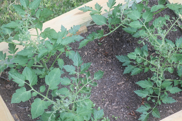 Notes from Kristen: May 2013