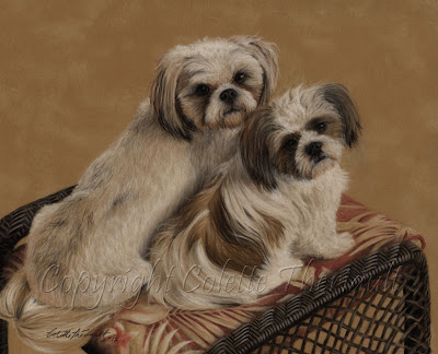 Pet Portrait of Shih Tzu in Pastel by Canadian Animal Artist Colette Theriault