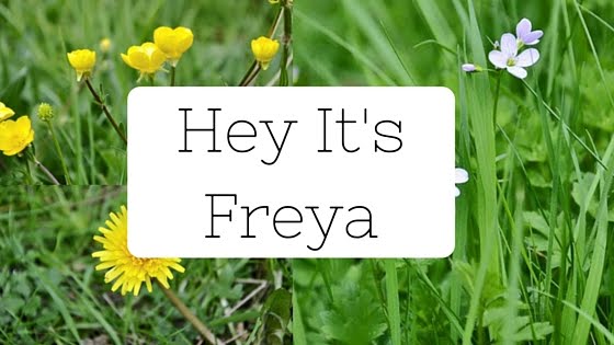 Hey it's Freya