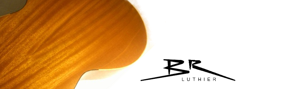 Bertone Luthier