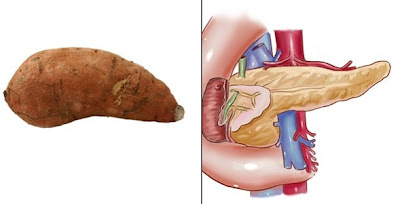 10Potato-Pancreas.jpg