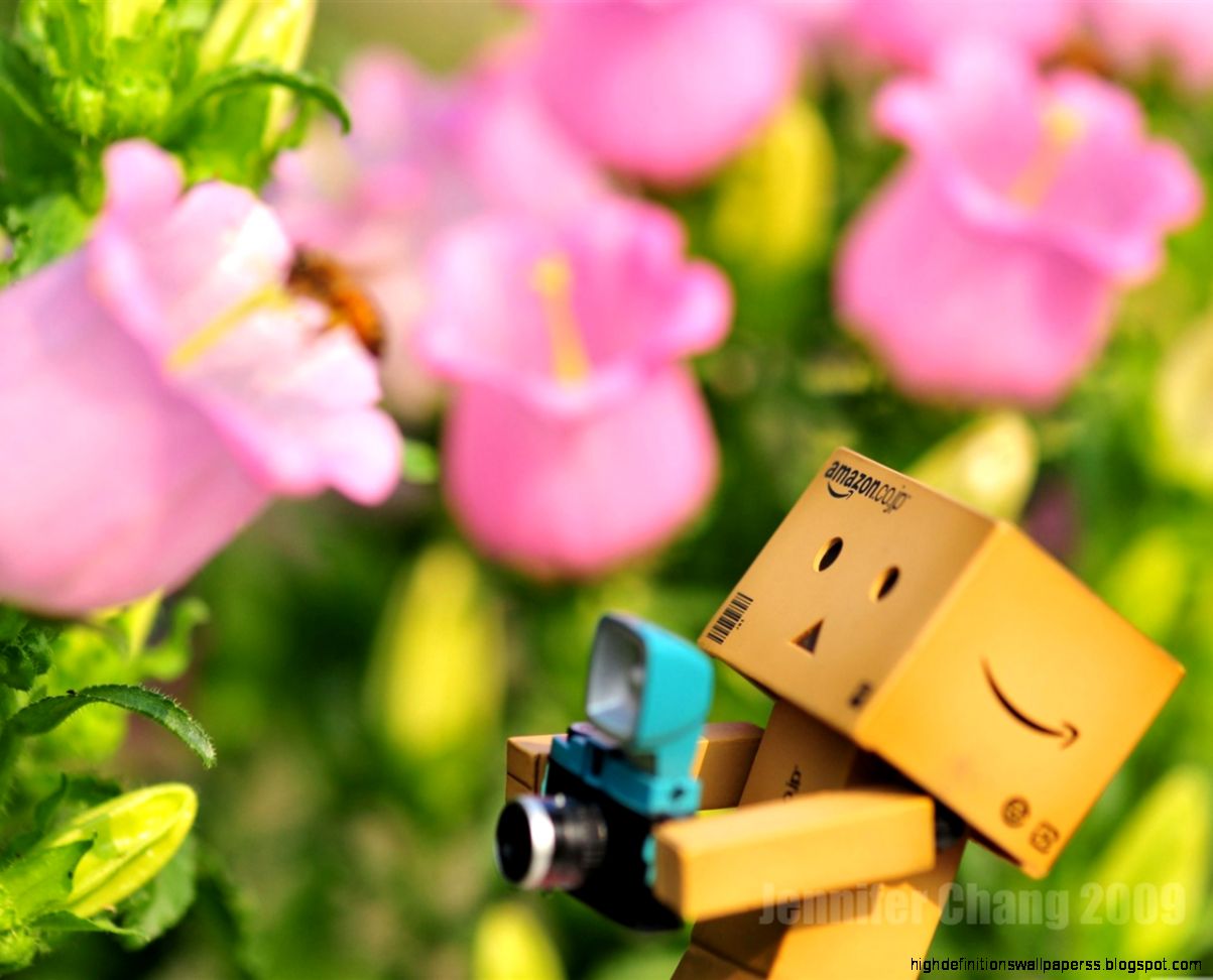 Danbo Flower Hd Wallpaper High Definitions Wallpapers Danbo Flower Hd Wallpaper High Definitions Wallpapers