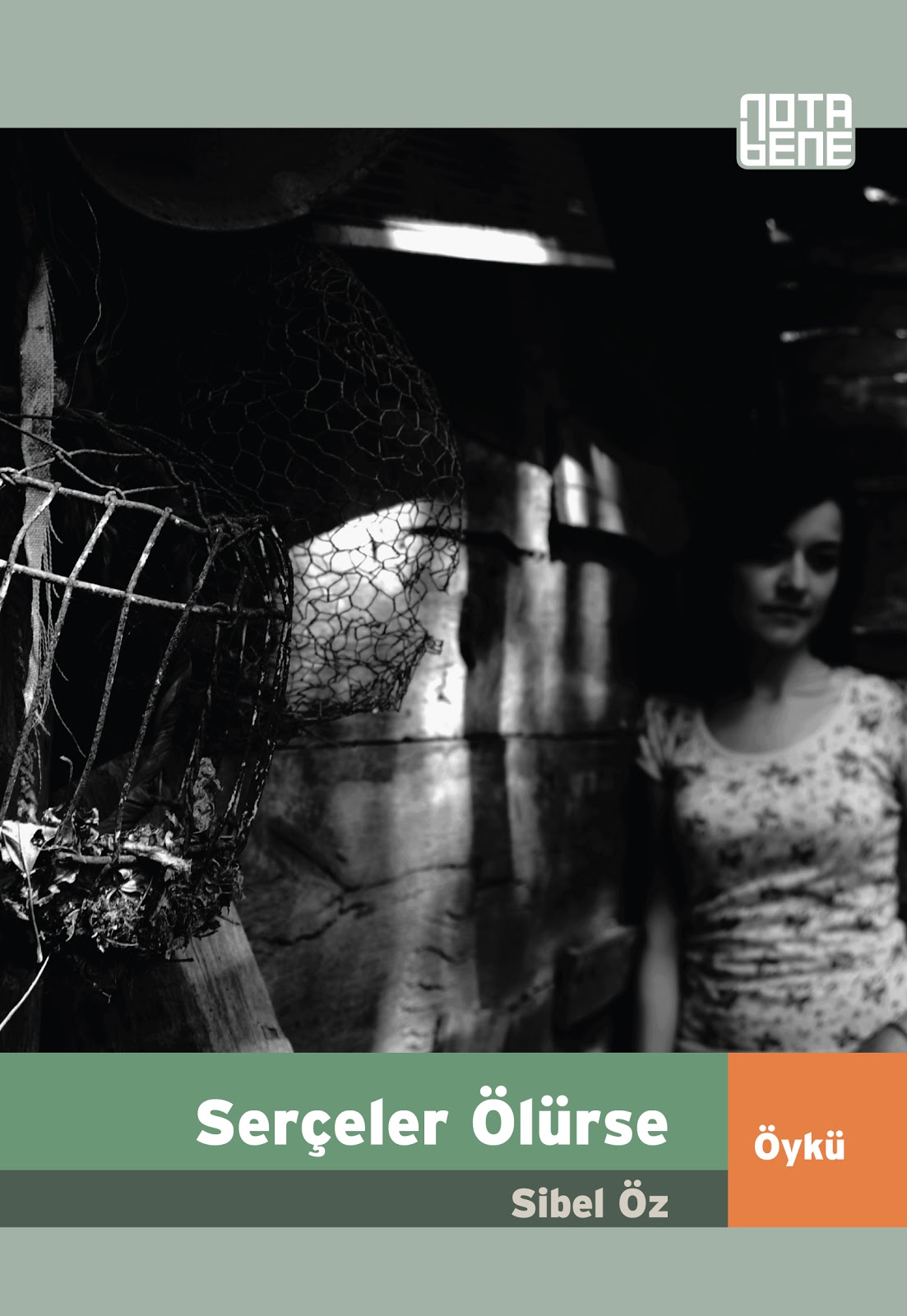 A. Chekhov, Anna boynunda: kısa öykü A. Chekhov, Anna boynunda: kısa öykü