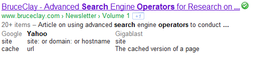 New Google Search, photo google site search,