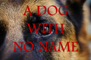 A Dog With No Name