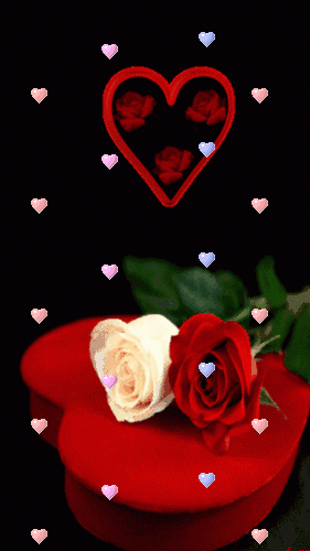 50+ Gif حب وعشق Background
