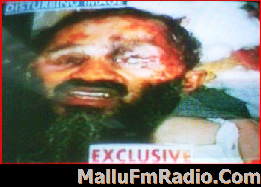 osama bin laden ap photo. Osama bin Laden. (AP