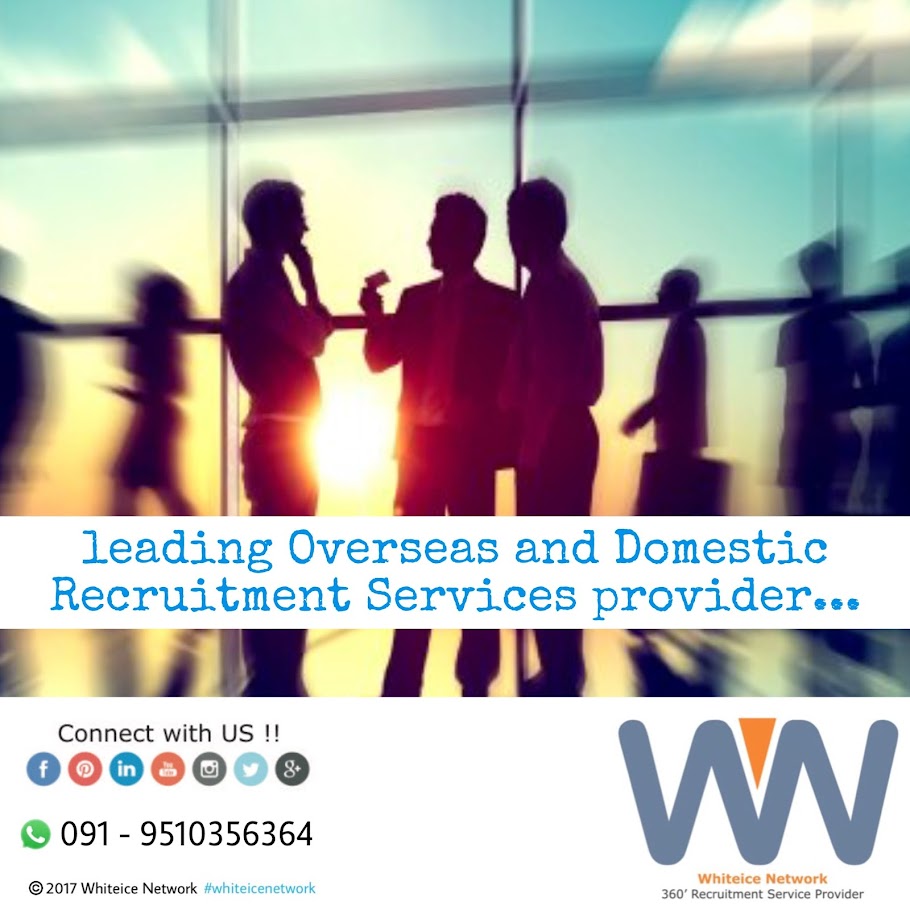 Whiteice Network - 360° Recruitment Service Provider